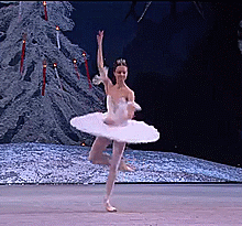 fortheloveofvaganova: A Nutcracker gifset a day: 3/17 Nina Kaptsova as The Sugar Plum Fairy The Bols