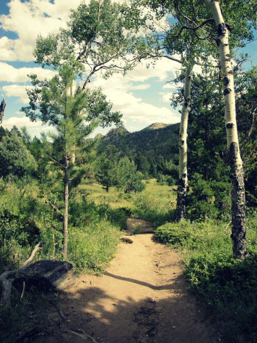 all-things-edm:  photoatlas:  Colorado Appreciation Post “We are now in the mountains and they are in us, kindling enthusiasm, making every nerve quiver, filling every pore and cell of us.” ― John Muir   Moving here next fall, couldn’t be more