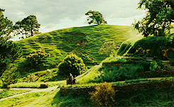 huntforthewilderfilms: movie challenge ↳ a movie you always watched as a kid: “the lord of the rings” (2001-2003, dir. peter jackson) 