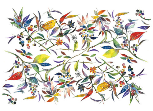 Beautifully illustrated packaging for spices, by Shang-Chun Tai