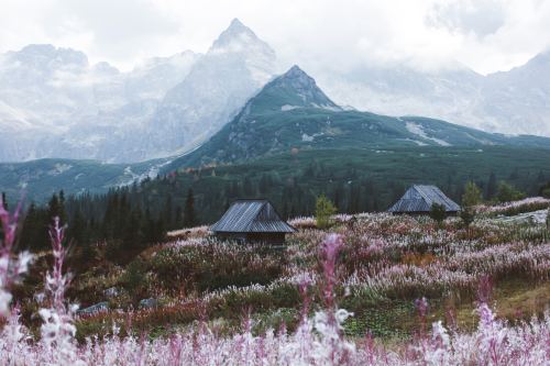 expressions-of-nature:Tatry, Poland by Mikita Karasiou Mithrim