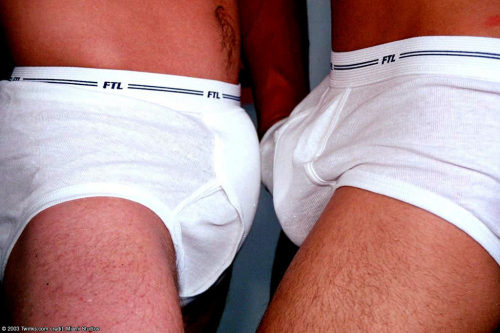whitebrief:  brief to brief 
