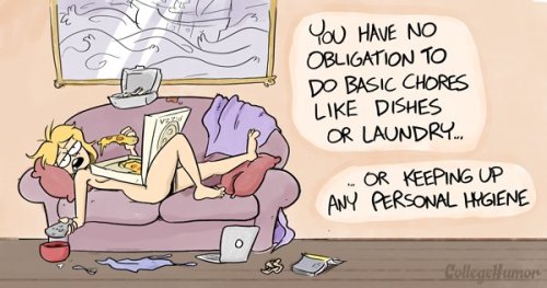 Sex noobtheloser:  collegehumor:  The 8 Stages pictures