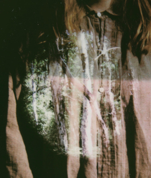 Reminder that the forest is always near pt. IILast of SpectraDouble Exposure( instagram )