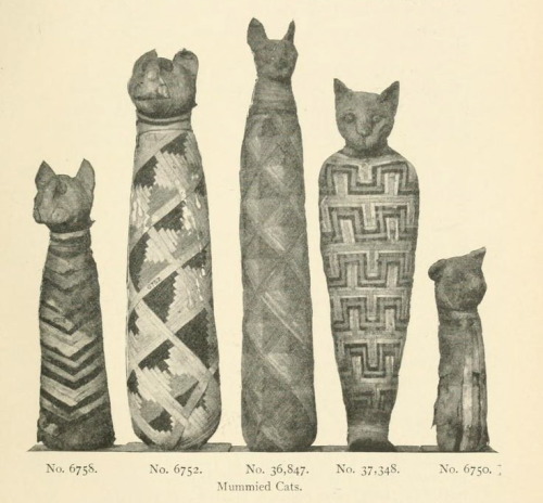 nemfrog: Mummified cats. British museum: A guide to the third and fourth Egyptian rooms. 1904. So co