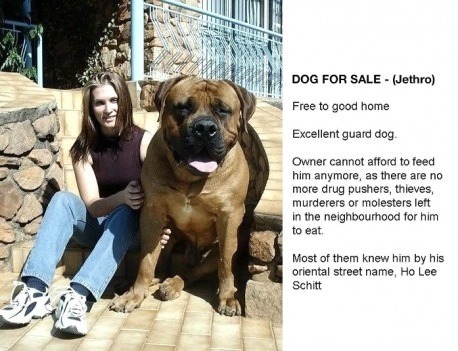 wannajoke:  Personal killer for sale 