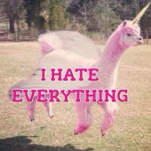  #lol #lmao #lama #pink #alpaca #unicorn #hate #everything