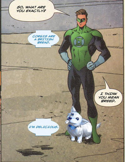 have-mercy-i-am-trash: cyrilthewolf:  Always reblog Hope Corgi.   One of DC’s shining moments  we have an angry cat and a hopeful dog X3