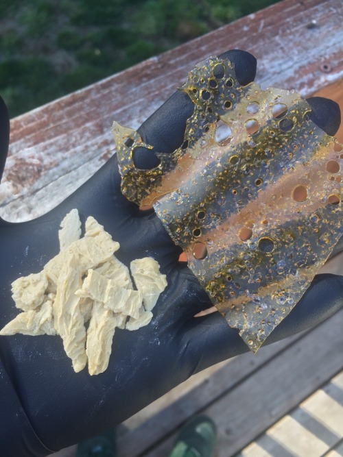 Strawberry banana wax and shatter, which do you prefer?