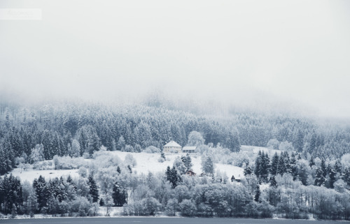 Böhmerwald, Czech Republic. Photo By Angelika Hörschläger 