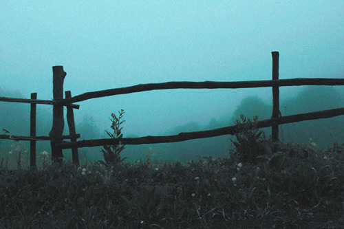 definitelydope:Foggy, Eliza Malkhasyan