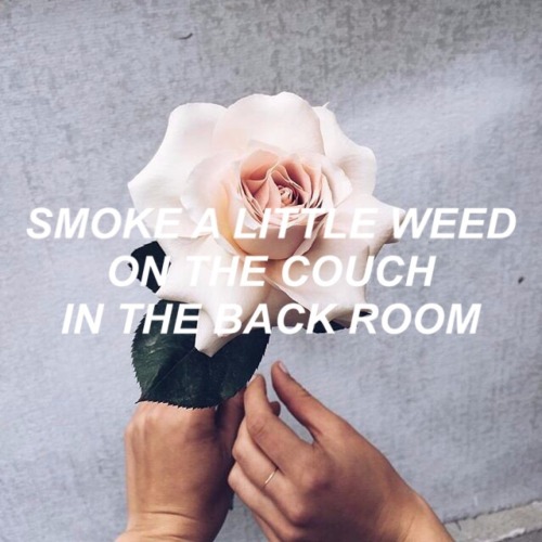 Roses (feat. ROZES) // The Chainsmokers