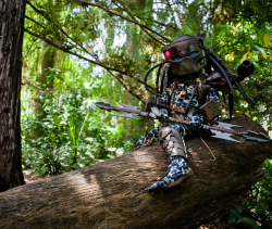 nerdsandgamersftw:  Baby Predator Cosplay By Albert Lien | Full Gallery 