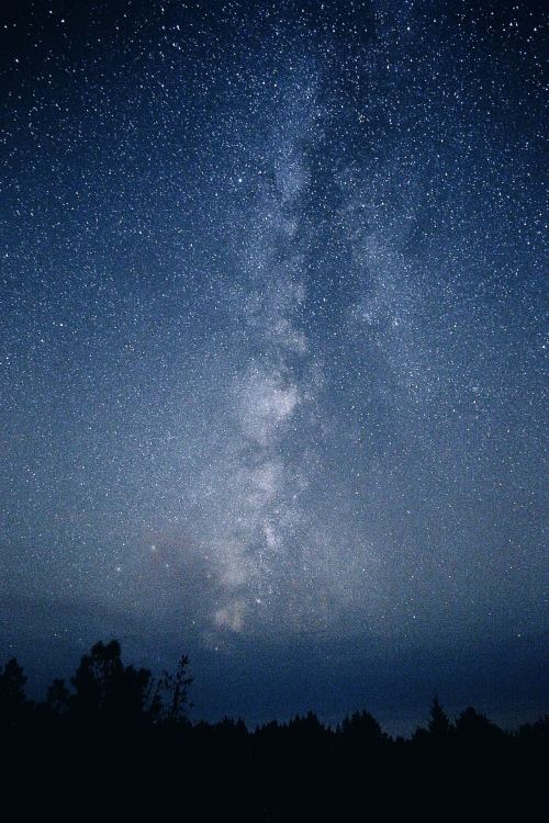 expressions-of-nature:Pescadero, California by Levi Price