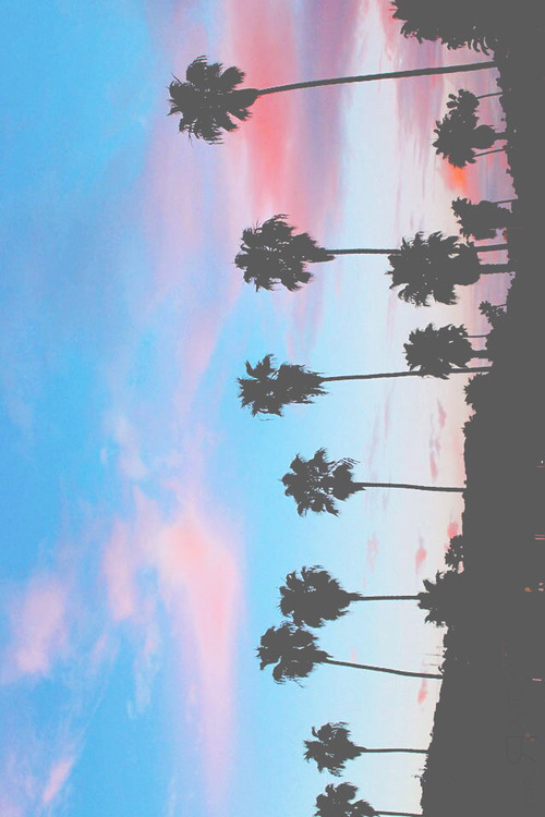 constellationofcreativity:  ☯ | Tumblr on We Heart Ithttp://weheartit.com/entry/123011081/via/UrbanDaisies