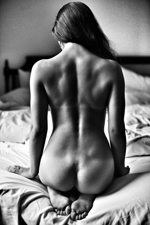 Quello che cerchi