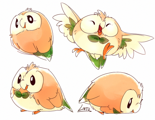 lintufriikki:Rowlet doodles from my twitter~