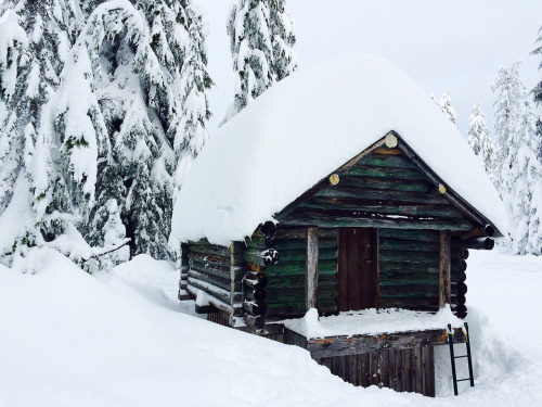 cabinporn:Cabin on Cypress Mountain, British Columbia, Canada.Contributed by Ginevra Terenghi.