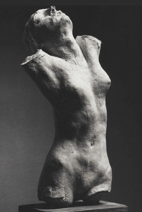 lapesce:Auguste Rodin :: Torso of the Centauress