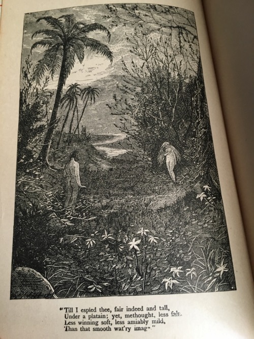 macrolit:Paradise Lost, John Milton