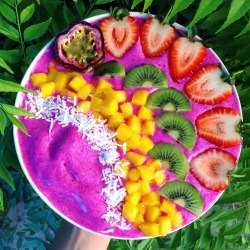 ha-ze:  Pink dragonfruit (pitaya) smoothie bowl 💖🐲 2 ingredients: frozen bananas + fresh pink dragonfruit, and blitz in a food processor/high speed blender 🍌 Instagram: chloessun