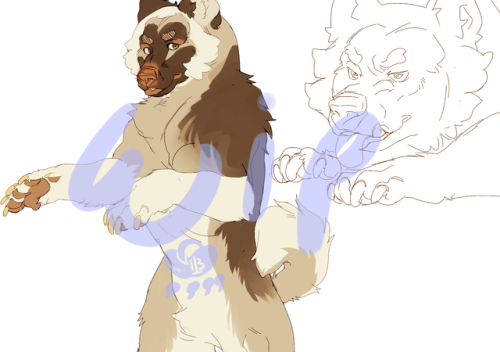 Workin on making a lil ref for the Kermo kita I used for the Lubar exampleIdk i felt like cleaning t