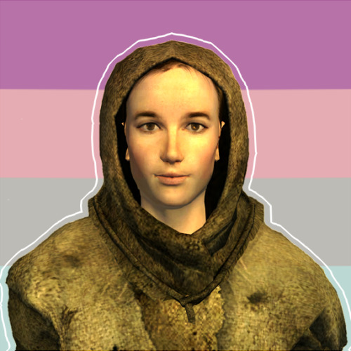rosecia:Fallout said gay rights!!!! [Warm pride flags by @aroaesflags! Please credit both of us if y