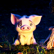 scottymccall: pua appreciation post!