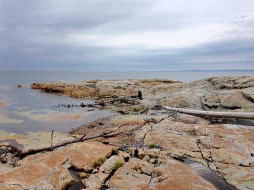 A grey day over the Saint Lawrence.