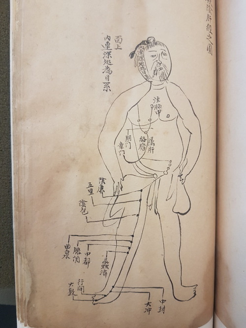 LJS 389 - [Shi si jing fa hui]This is a 14th-century treatise on the anatomy, physiology, and pathol