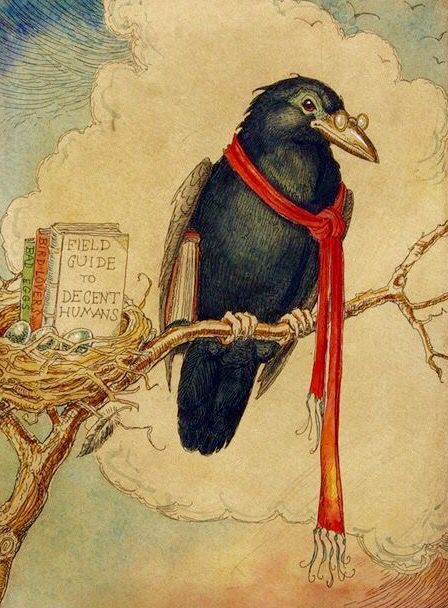 indigodreams:Crow with Field Guide to Decent Humans,Charles Van Sandwyk