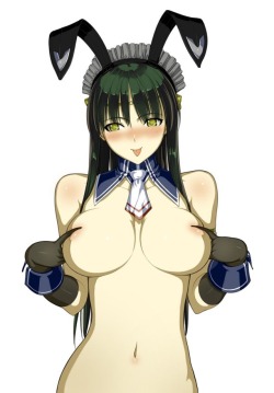 oppai-okami:  Bunny girls