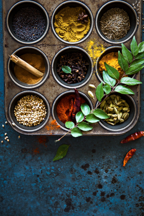 stereoculturesociety:CultureCUISINE: Indian Spices