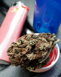 stonerfaq:  Grand daddy purps homegrow