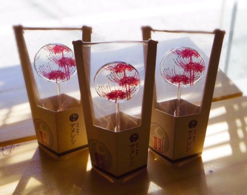 Those delicate higanbana (spider lily) candies by @candy_ameshinare so cool!