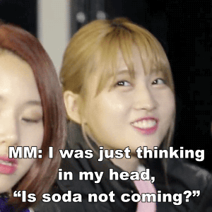 twiceoneinamillion:  MOMO AND SODA FT. JEONGMO’S SODA TELEPATHY 