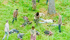 gifshows-blog: THE WALKING DEAD REWATCH • 6 GIFS PER EPISODE4x09 “I don’t need you anymore. I don’t need you to protect me anymore. I can take care of myself. You probably can’t even protect me anyways. You couldn’t protect Judith. You couldn’t