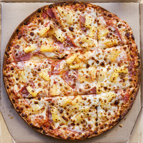 allienugget:  WHAT ANIMAL CUTS A PIZZA LIKE THIS WHAT IS WRONG WITH YOU