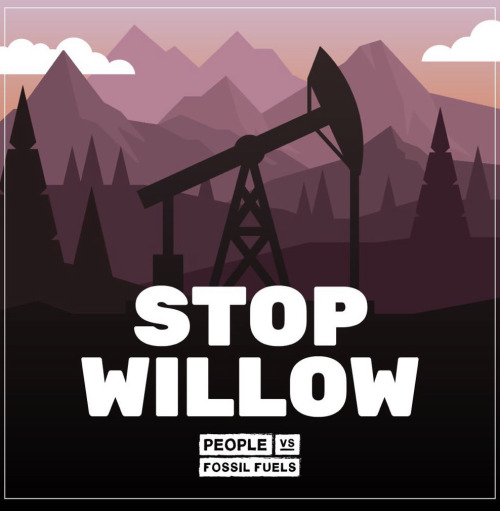 Please, We Need Your Help. The Willow Project Is A Project Being Viewed By The President In This Moment,