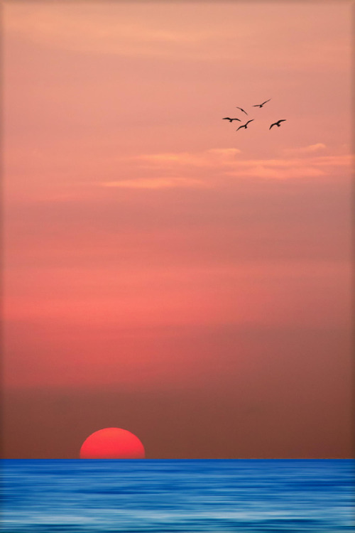 Ocaso IV (by Pepe Alcaide)