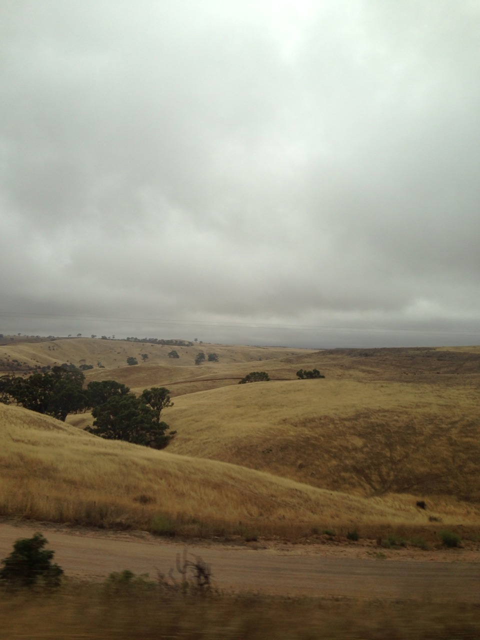 infauna:  The weather in this country is so weird. There’s bushfires everywhere,