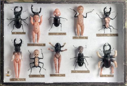 Porn ghostofaflea:    Le cabinet de curiosités photos