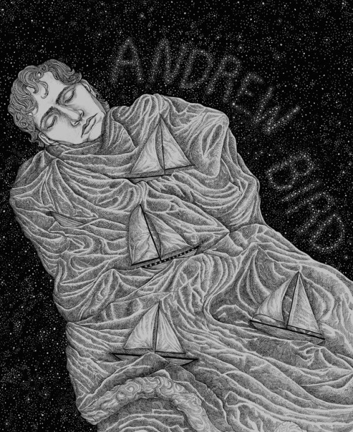 Andrew Bird Poster design: pen and ink, some white acryllic