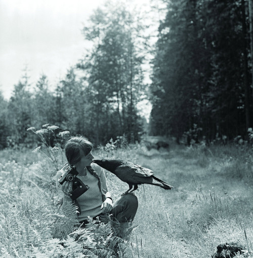 blueblackdream:Lech Wilczek, Simona Kossak with the crow Korasek