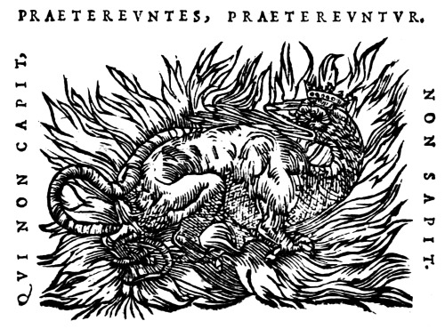 deathandmysticism: Martinus Copus, Apotelesmata Philosophica Mercvrii Trivmphantis, 1601