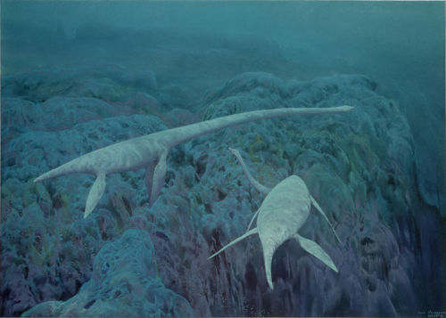 Plesiosaurus by Doug Henderson