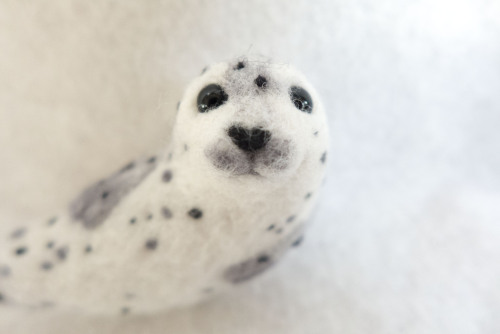 Spotted Seal Brooch available at my Etsy shop&hellip;honk?