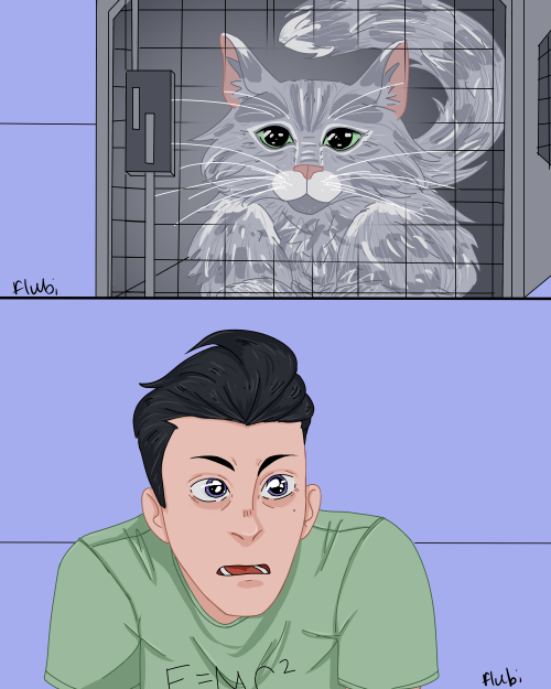 flubi:tfw u see a catart for defence is paper thin Summary: Harry Osborn is in Europe, overseeing hi