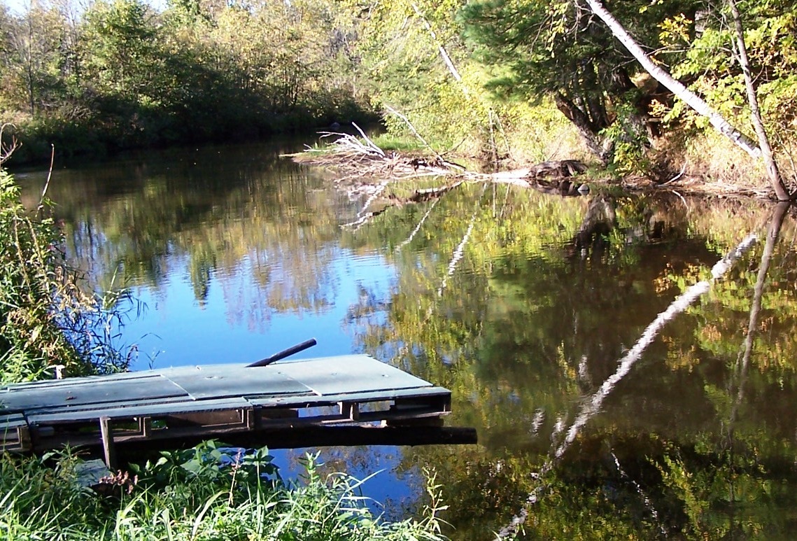 flyfishingwoman:  The pond.