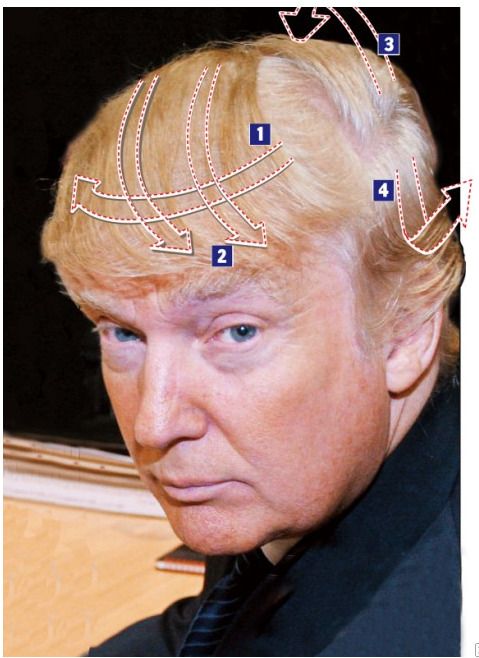 futureisfailed:  (1528659980701.png (PNG 画像, 479x658 px)から) 